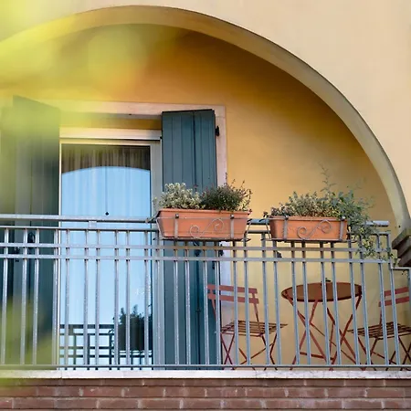 Rosa Tea Monteforte dʼAlpone