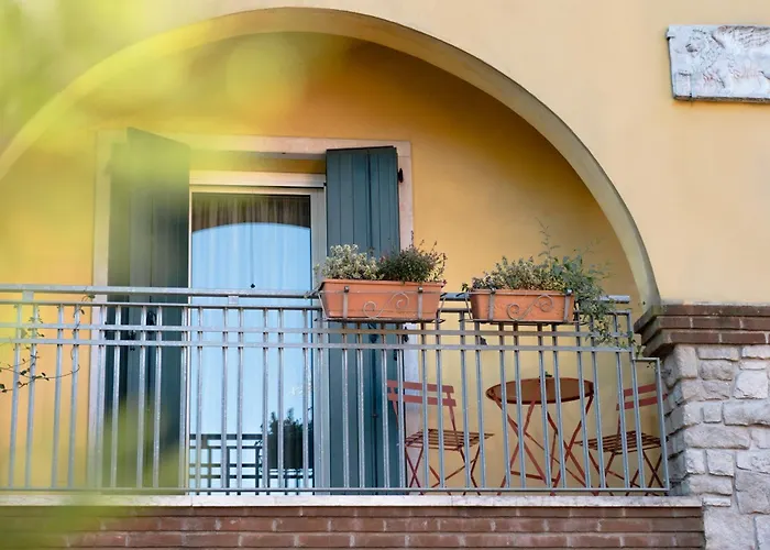 Rosa Tea Monteforte dʼAlpone